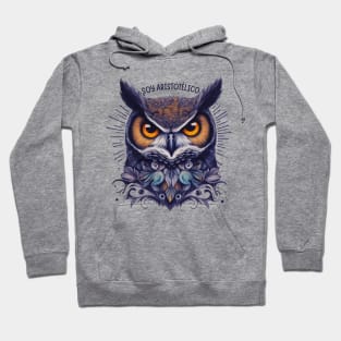 I’m Aristotelian quote for owl fans Hoodie